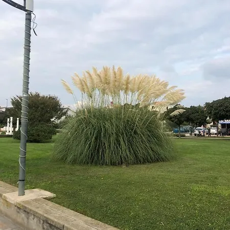 Deluxe Im * Медулин